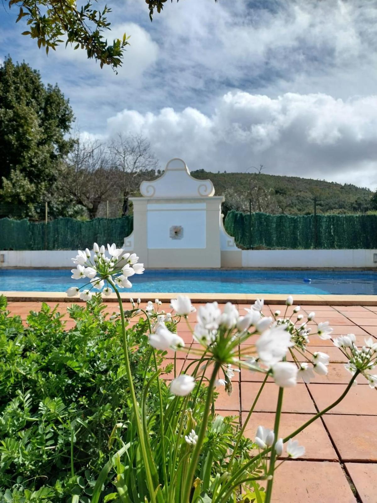 Casa Do Ginjal By Naturalegre Marvão 외부 사진